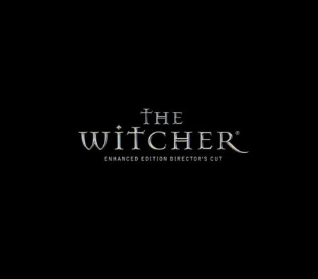 witcher_1_700_2